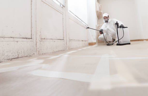 24/7 Emergency Basement Mold Remediation experts in Herndon, PA